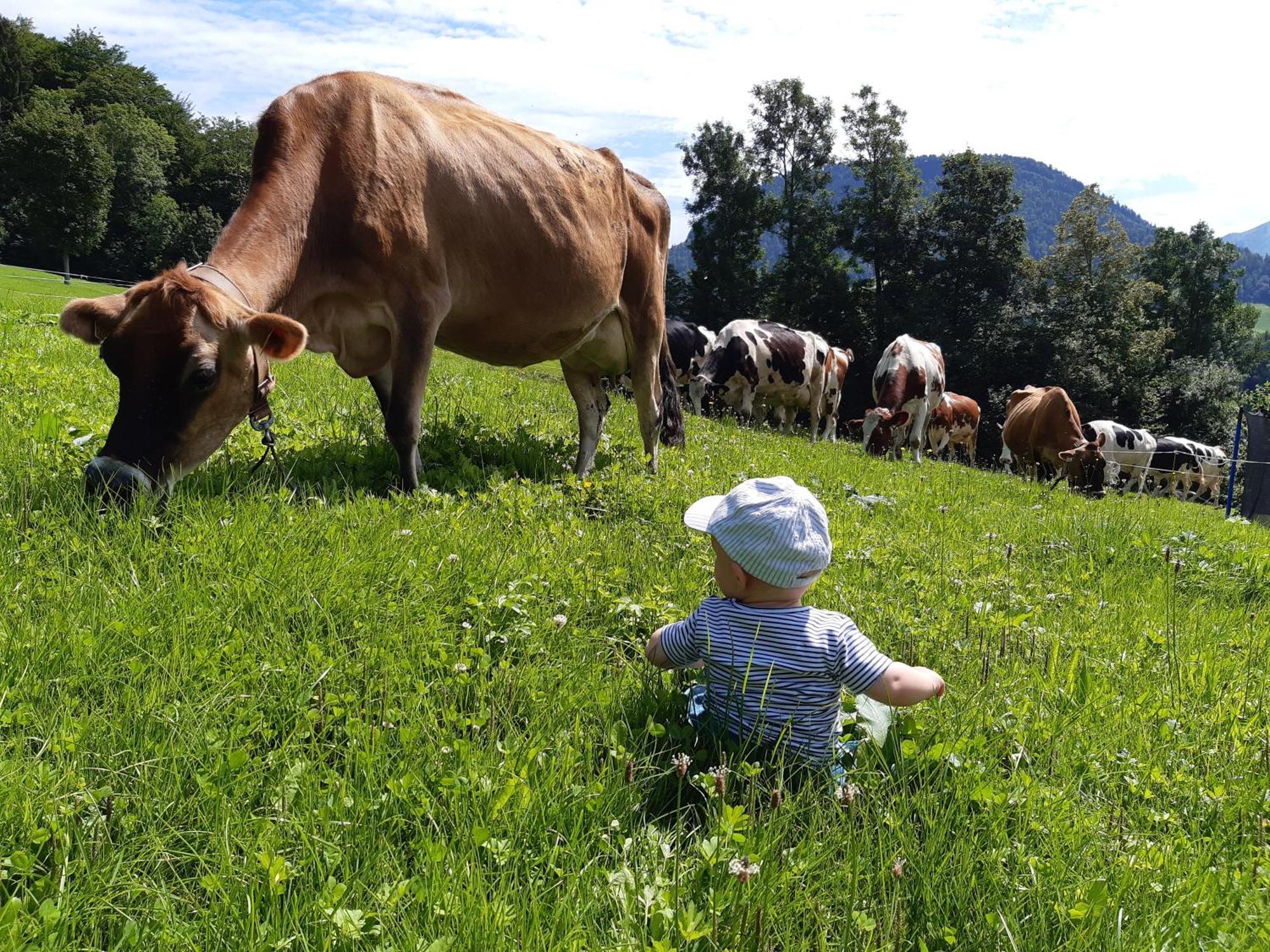 Ferienhof Dürlinde Hittisau Exterior foto
